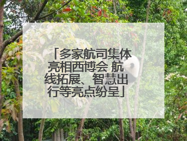 多家航司集体亮相西博会 航线拓展、智慧出行等亮点纷呈