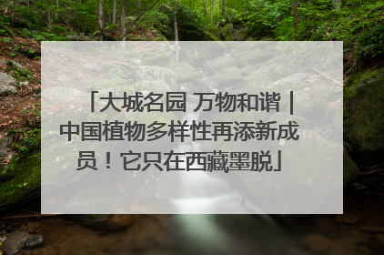大城名园 万物和谐｜中国植物多样性再添新成员！它只在西藏墨脱