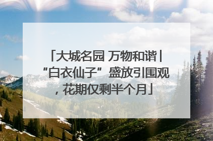 大城名园 万物和谐│“白衣仙子”盛放引围观，花期仅剩半个月
