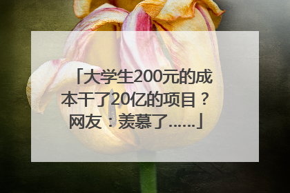 大学生200元的成本干了20亿的项目？网友：羡慕了……