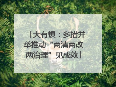 大有镇：多措并举推动“两清两改两治理”见成效