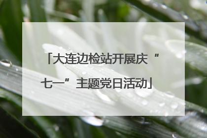 大连边检站开展庆“七一”主题党日活动