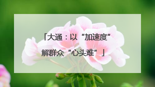大通：以“加速度”解群众“心头难”