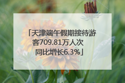 天津端午假期接待游客709.81万人次 同比增长6.3%