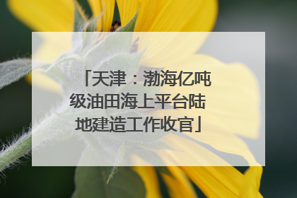 天津：渤海亿吨级油田海上平台陆地建造工作收官
