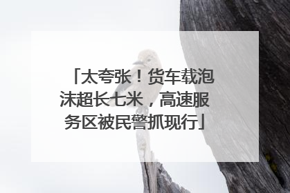 太夸张！货车载泡沫超长七米，高速服务区被民警抓现行
