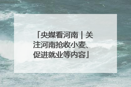 央媒看河南｜关注河南抢收小麦、促进就业等内容