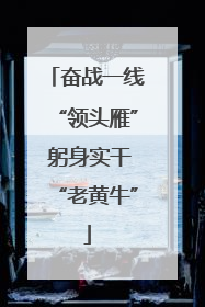 奋战一线“领头雁” 躬身实干“老黄牛”