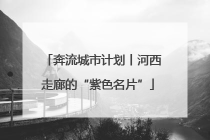 奔流城市计划丨河西走廊的“紫色名片”