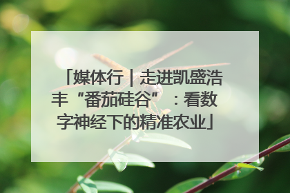 媒体行｜走进凯盛浩丰“番茄硅谷”：看数字神经下的精准农业