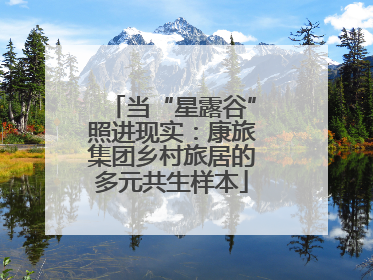 当“星露谷”照进现实：康旅集团乡村旅居的多元共生样本