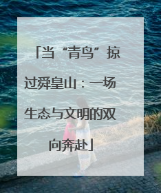 当“青鸟”掠过舜皇山：一场生态与文明的双向奔赴