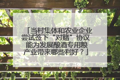 当村集体和农业企业尝试签下“对赌”协议 能为发展酿酒专用粮产业带来哪些利好？