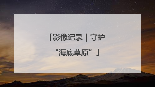 影像记录｜守护“海底草原”