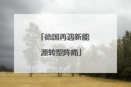 德国再遇新能源转型阵痛