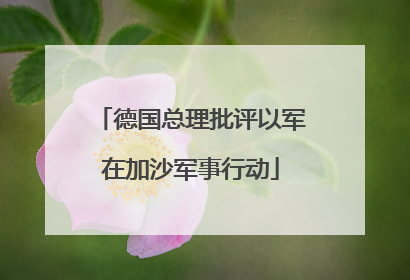 德国总理批评以军在加沙军事行动