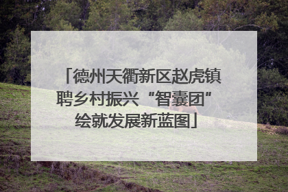 德州天衢新区赵虎镇聘乡村振兴“智囊团” 绘就发展新蓝图