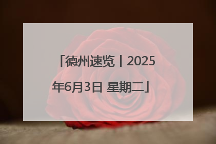 德州速览丨2025年6月3日 星期二