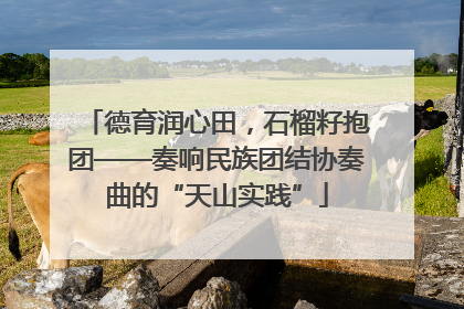 德育润心田，石榴籽抱团——奏响民族团结协奏曲的“天山实践”