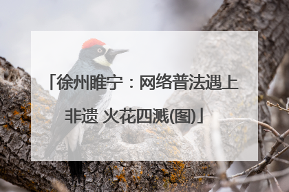 徐州睢宁：网络普法遇上非遗 火花四溅(图)