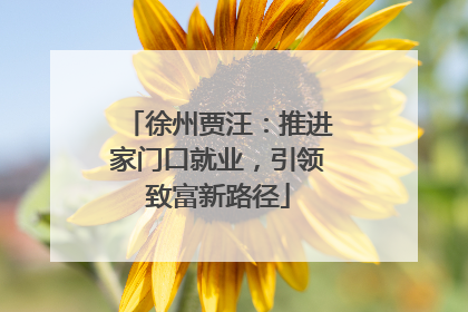 徐州贾汪：推进家门口就业，引领致富新路径