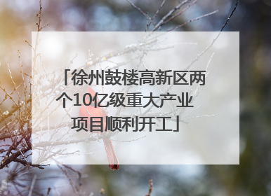 徐州鼓楼高新区两个10亿级重大产业项目顺利开工