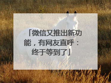 微信又推出新功能，有网友直呼：终于等到了