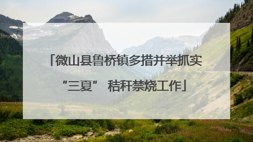 微山县鲁桥镇多措并举抓实 “三夏” 秸秆禁烧工作