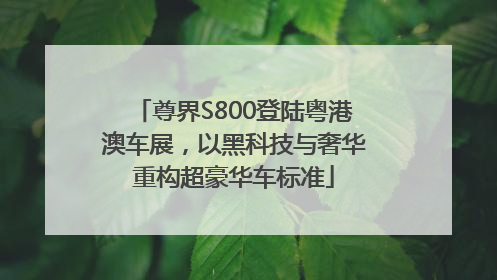 尊界S800登陆粤港澳车展，以黑科技与奢华重构超豪华车标准