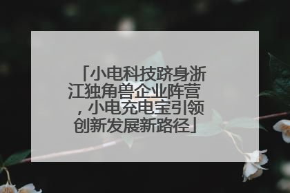小电科技跻身浙江独角兽企业阵营，小电充电宝引领创新发展新路径