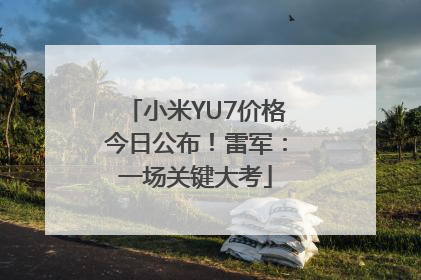 小米YU7价格今日公布！雷军：一场关键大考