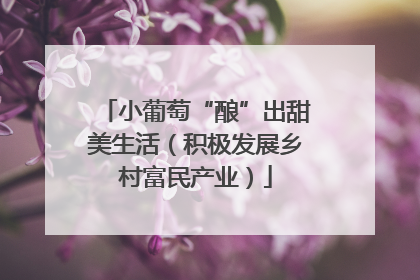小葡萄“酿”出甜美生活（积极发展乡村富民产业）