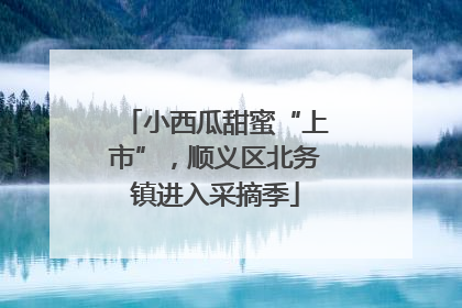 小西瓜甜蜜“上市”，顺义区北务镇进入采摘季
