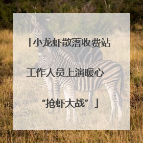 小龙虾散落收费站 工作人员上演暖心“抢虾大战”
