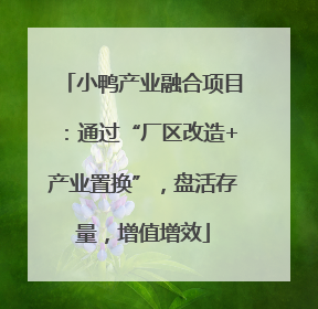 小鸭产业融合项目：通过“厂区改造+产业置换”，盘活存量，增值增效