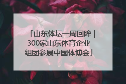 山东体坛一周回眸｜300家山东体育企业组团参展中国体博会