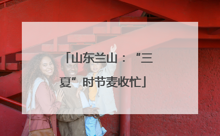 山东兰山：“三夏”时节麦收忙