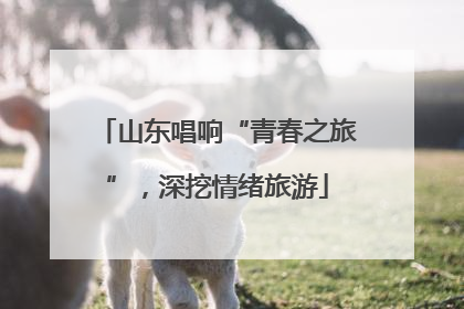 山东唱响“青春之旅”，深挖情绪旅游