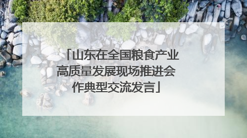 山东在全国粮食产业高质量发展现场推进会作典型交流发言