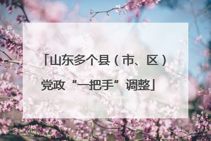 山东多个县（市、区）党政“一把手”调整