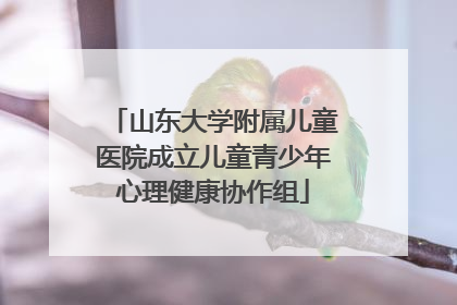 山东大学附属儿童医院成立儿童青少年心理健康协作组
