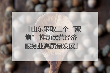 山东采取三个“聚焦” 推动民营经济服务业高质量发展