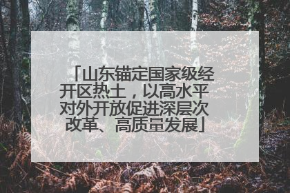 山东锚定国家级经开区热土，以高水平对外开放促进深层次改革、高质量发展