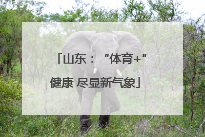 山东：“体育+”健康 尽显新气象