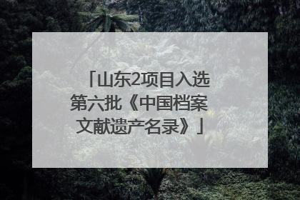 山东2项目入选第六批《中国档案文献遗产名录》