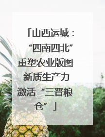 山西运城：“四南四北”重塑农业版图 新质生产力激活“三晋粮仓”
