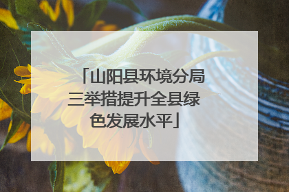 山阳县环境分局三举措提升全县绿色发展水平