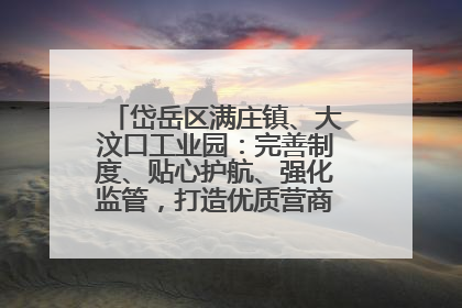 岱岳区满庄镇、大汶口工业园：完善制度、贴心护航、强化监管，打造优质营商“强磁场”