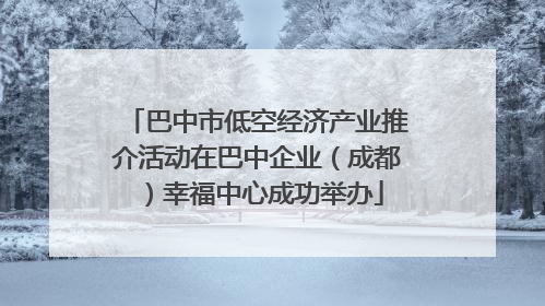 巴中市低空经济产业推介活动在巴中企业（成都）幸福中心成功举办