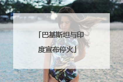 巴基斯坦与印度宣布停火